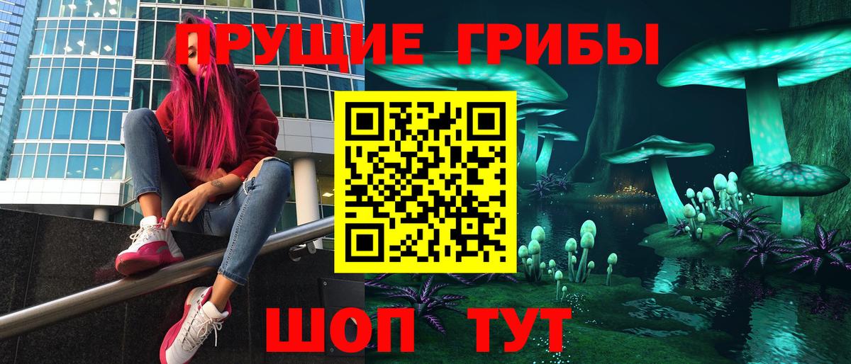 Тара  Галлюциногенные грибы мицелий  Псилоцибиновые грибы мицелий  Вход с VPN 