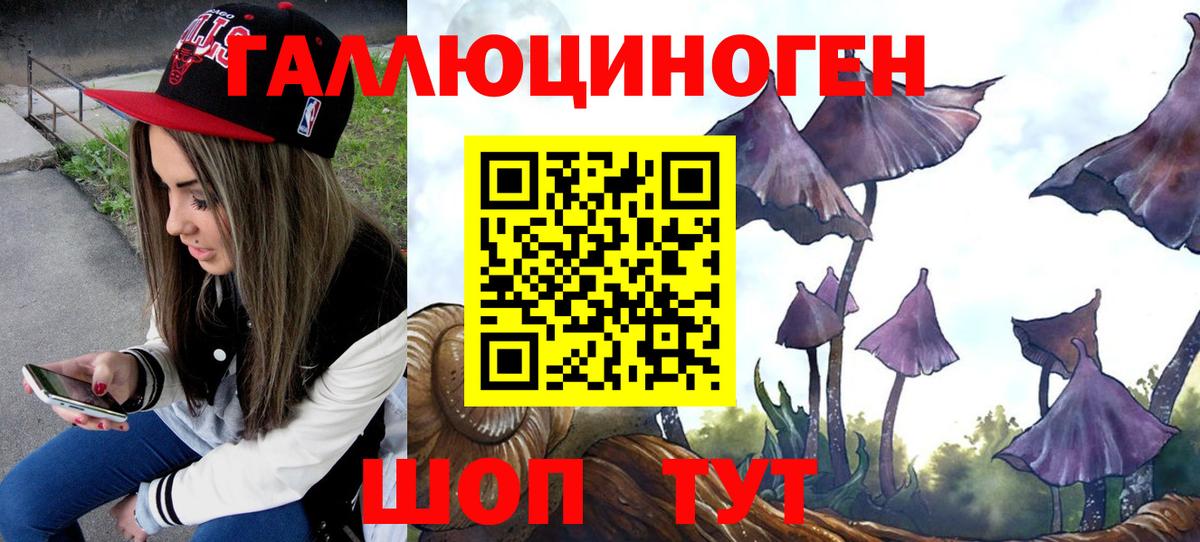 Псилоцибиновые грибы ЛСД Тара